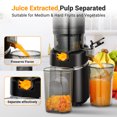 thumbnail image 3 of 250W Masticating Juicer, Sunmaki 5.11'' Large Cold Press Juicer for Whole Fruits and Vegetables, Easy to Clean& BPA-Free, Black, 3 of 6