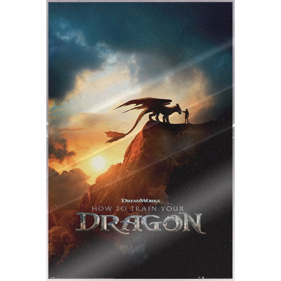 How To Train Your Dragon - Movie Poster (Regular Style) (Size: 24" x 36") (Laminated Poster)