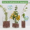 thumbnail image 5 of 4 lb Organic Leca Clay Pebbles for Plants, 4mm-16mm 100% Natural Leca Balls for Indoor Plants, Hydroton Clay Pebbles for Plants Hydroponic Aquaponics Growing Orchid Drainage Terrarium, 5 of 7