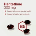 thumbnail image 4 of Protocol Pantethine 300mg - Active Form of Vitamin B5 - Liver Support* - Support Cholesterol Already Within Normal Range* - Pantethine Vitamin Supplement - 60 Softgels, 4 of 9