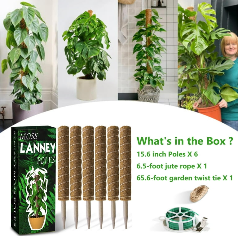 LANNEY 68 Inch Moss Pole for Climbing Plants, 6 Pack Natural Coir