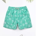 thumbnail image 2 of Aayomet Mens Swimming Trunks With Compression Liner Triangle Mesh Quick Dried Outdoor Summer Beach Pants (Green, XL), 2 of 5