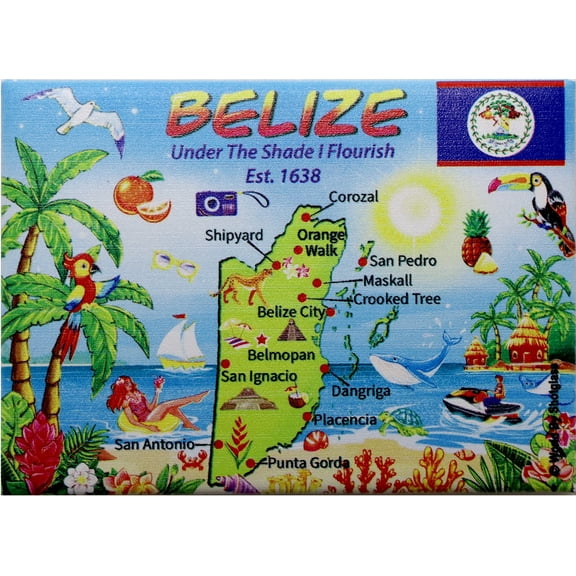 Belize Graphic Map and Attractions Souvenir Fridge Magnet 2.5" X 3.5"