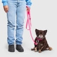 thumbnail image 4 of Canada Pooch 628284121176 Waterproof Dog Leash , Pink - Small & Medium, 4 of 4