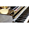 Laminated Poster Music Keys Musical Instrument Piano Keyboard Poster Print 24 x 36