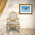 thumbnail image 3 of Jaynes Gallery 14x11 Gold Ornate Wood Framed with Double Matting Museum Art Print Titled - USA-New Mexico-Bosque del Apache National Wildlife Refuge-Mallard drakes in flight, 3 of 4