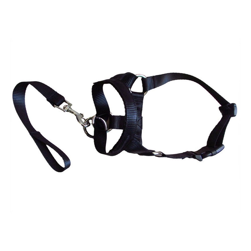 Sunisery Dog Head Collar Stop Pulling Pet Lead Padded Noseband Training