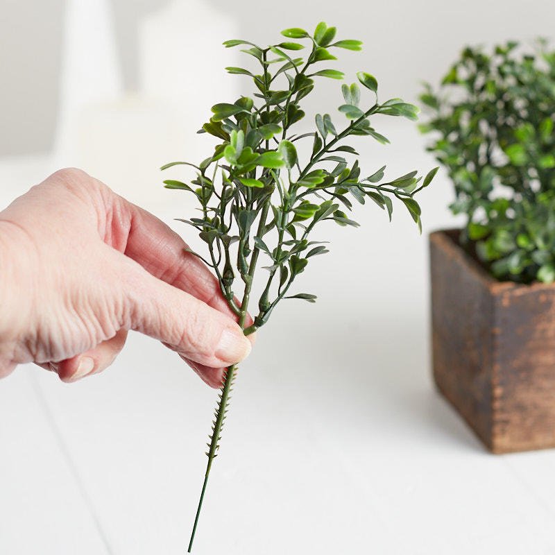 Package of 12 Traditional 8" Boxwood Artificial Greenery Picks