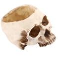 thumbnail image 3 of Skull Planter Pot Skull Shaped Head Design Flower Pot Planter Container for Home Office Indoor Desk Decorations, 3 of 7