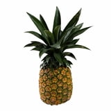 Piña Miel por kilo | Walmart en línea