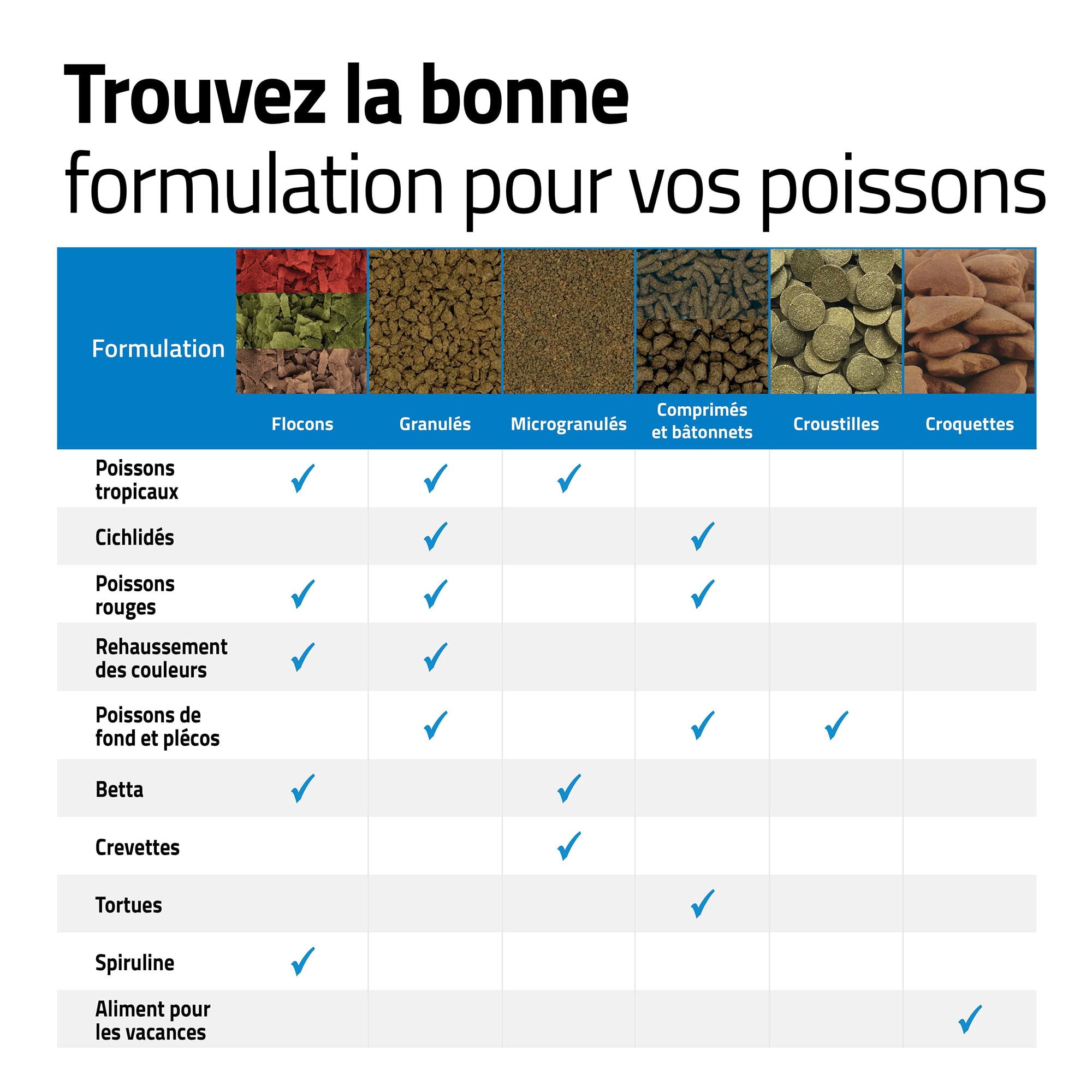 Granulés Bug Bites pour poissons rouges, petits/moyens, 45 G