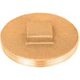 thumbnail image 1 of PLUG RAISED 3"BRASS by SIOUX CHIEF MfrPartNo 876-30PK, 1 of 3