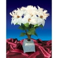 thumbnail image 2 of Northlight 20" Pre-Lit White and Green Poinsettia Artificial Christmas Plant., 2 of 2