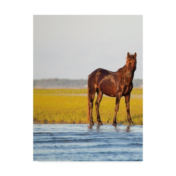Trademark Fine Art 'Horse By the River' Canvas Art by Aledanda