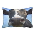 thumbnail image 1 of RYLABLUE Decorative Happy Cow Decor Soft Throw Pillow Cover Case Size 20x30 inches Two Side, 1 of 1