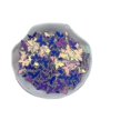 thumbnail image 1 of Xmas Ornaments Christmas Butterfly Sequins Pvc Paillette Dress Up ..., 1 of 5