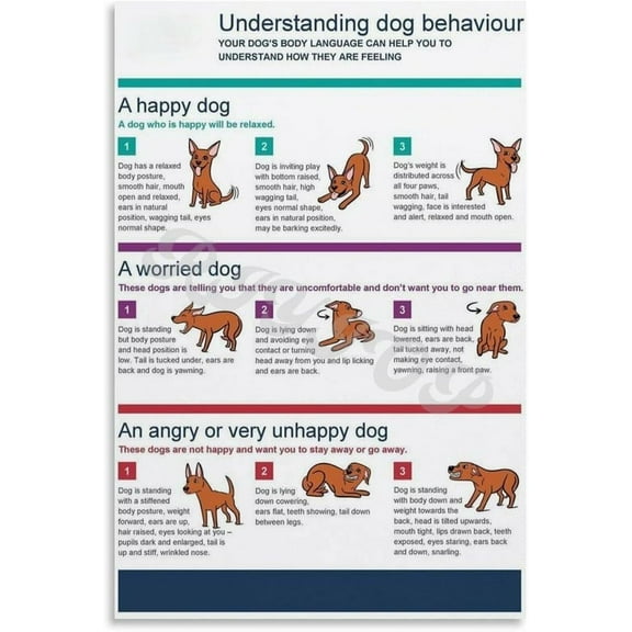 Common Dog Behaviors Explained Poster Dog Body Language Poster Posters And Prints Wall Art Pictures for Living Room Bedroom Decor