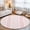 Pink, variant on Blush Pink White Stripes Washable Small Entryway Area Rugs 2'x3', Lines Modern Vertical Stripes Washable Throw Rug Non-Slip Sturdy Edge Binding Carpet for Front Door Floor Room Entry