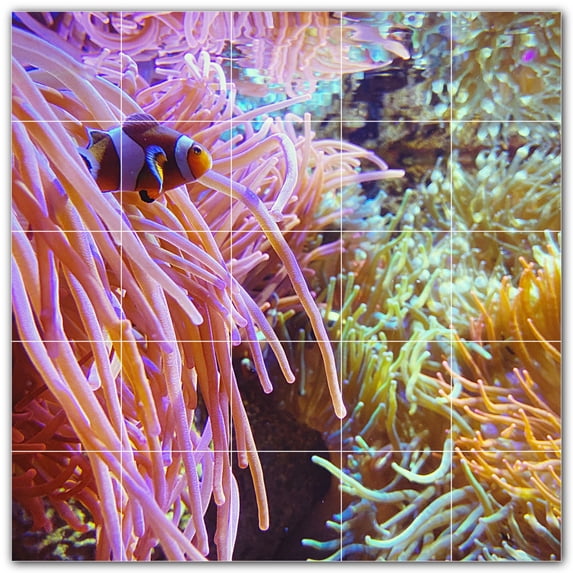 Picture-Tiles.com: Coral Ceramic Tile Wall Mural WAL500416-55S. 21.25"W x 21.25"H using (25) 4.25" x 4.25" Ceramic Tiles-Satin Finish