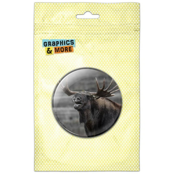 Moose Talking Pinback Button Pin Badge