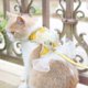 thumbnail image 5 of Cat Hand Holding Rope Cat Chest Strap Hand Holding Rope Anti Breaking Loose Special Pet Clothes For Going Out Cat Leash Dog Rope, 5 of 5
