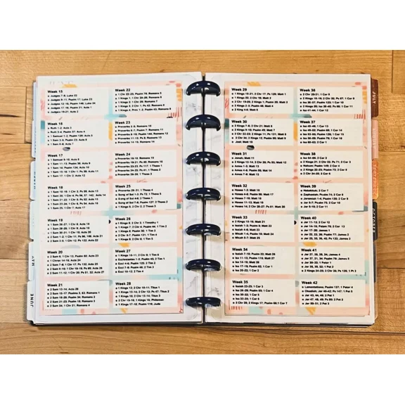 Set Of Two (2) *Read The Bible In Year* Insert 4 Use W/ Mini Happy Planner-