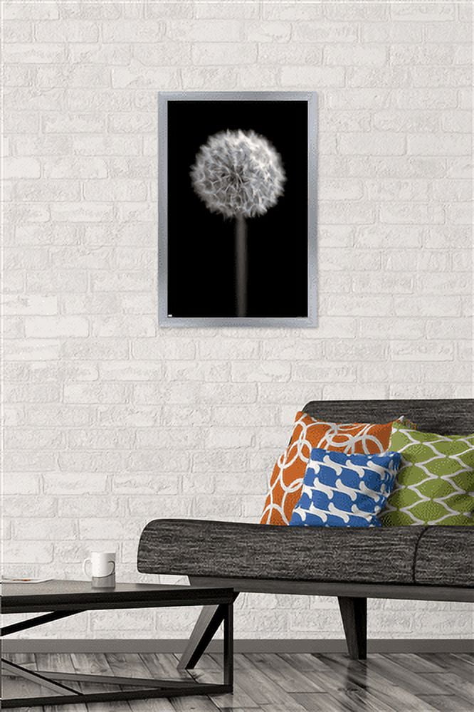 Tom Quartermaine - Black and White Dandelion