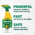 thumbnail image 2 of Spruce Weed & Grass Killer Trigger Spray: Kills All Types of Weeds and Grasses, Visible Results in 1 Hour (24 oz Bottle), 2 of 11