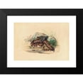 thumbnail image 2 of Joseph Wolf 18x14 Black Modern Framed Museum Art Print Titled - The Clotho (1861-1867), 2 of 5