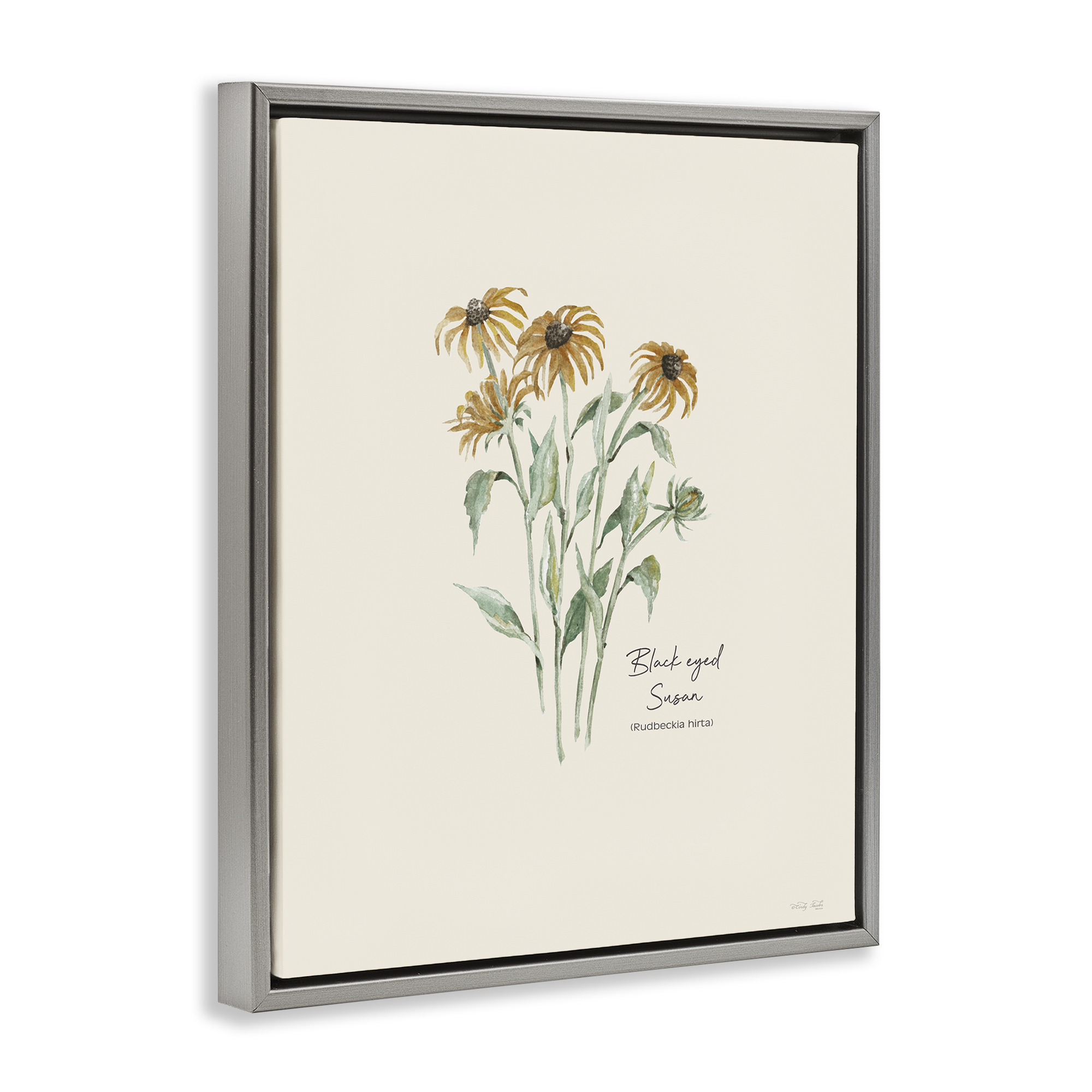 Stupell Industries Black Eyed Susans Botanical & Floral Painting Gray Floater Framed Art Print Wall Art, 17 x 21