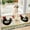 B, variant on Cute Farm Animal Doormat, 23.6x15.7in Non-Slip Entrance Mat with Rabbit/Cow/Rooster Designs for Home Decor