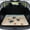 Vintage Sea Turtle Starfish Beach, variant on COEQINE Universal Car Trunk Mat All Weather Cargo Liner Floor Mat with Non-Slip Backing Scratch-proof Pet Cargo Mat Suitable for Most Car Models, Vintage Sea Turtle Starfish Beach