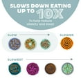 thumbnail image 4 of Outward Hound Medium Slow Feeder Bowl, Puzzle Maze for Fast Eaters, Small to Medium Dogs, Helps Prevent Bloat & Aid Digestion, Holds 2 Cups Wet or Dry Food, Non-Slip, Made Without BPA, Sage, 4 of 6