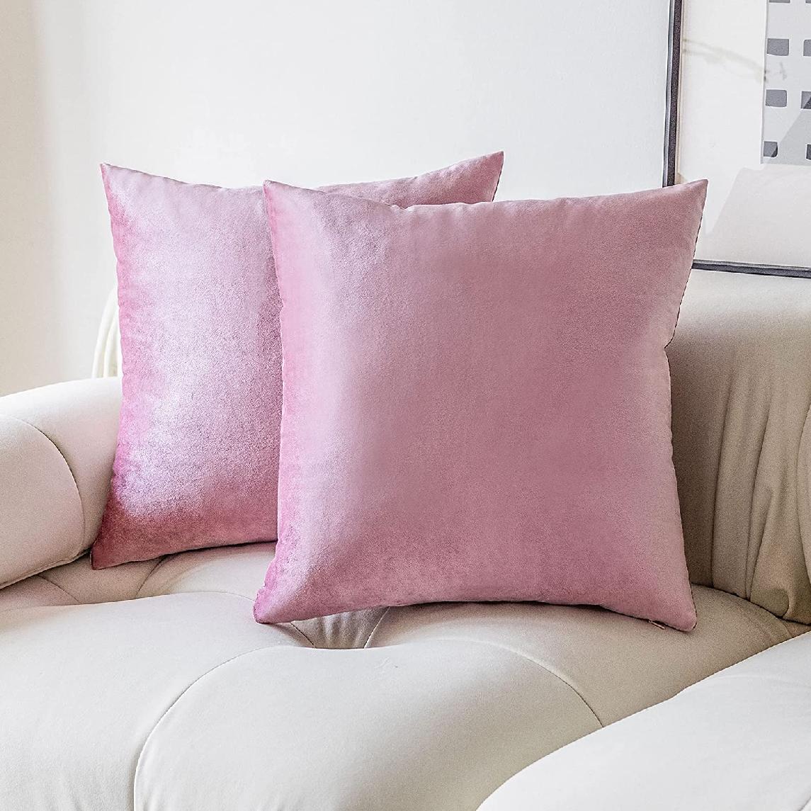 Velvet Pillow Covers Set of 2 Decorative Luxury Soft Euro Throw Pillows for Couch Bed Room Sofa