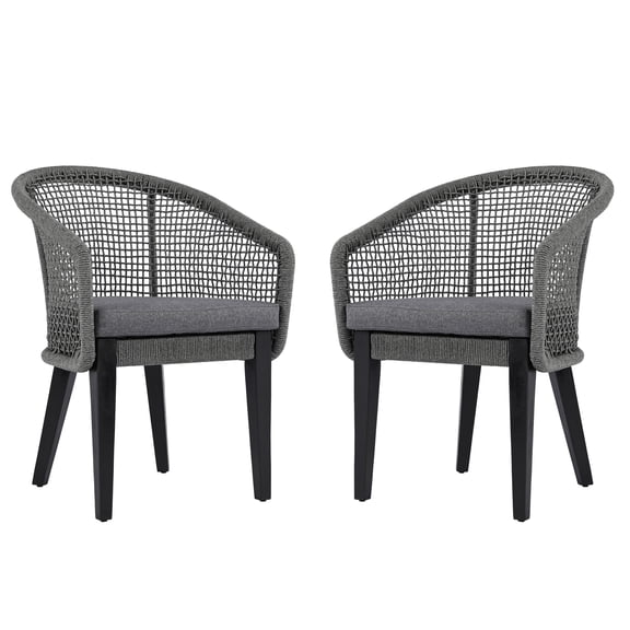 Safavieh Saxon Modern Wood Outdoor Armchair - Set of 2, Gray
