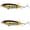 a, variant on Bisitoy 2Pcs Crankbait Fishing Lures Set with Square Bill for Shallow Rocks
