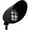 Black, variant on Dabmar Lighting FG23-B 120V PAR38 Fiberglass Hooded Spot Light, Black