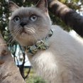 thumbnail image 2 of Nouveau Collier pour Chien 2022 - Snngv, 2 of 4