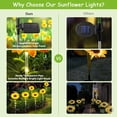 thumbnail image 3 of Luces solares para exteriores, decoración de jardín, paquete de 4 luces solares para jardín con girasol más grande y LED brillante, decoraciones impermeables para patio, luces solares decorativas, 3 of 5