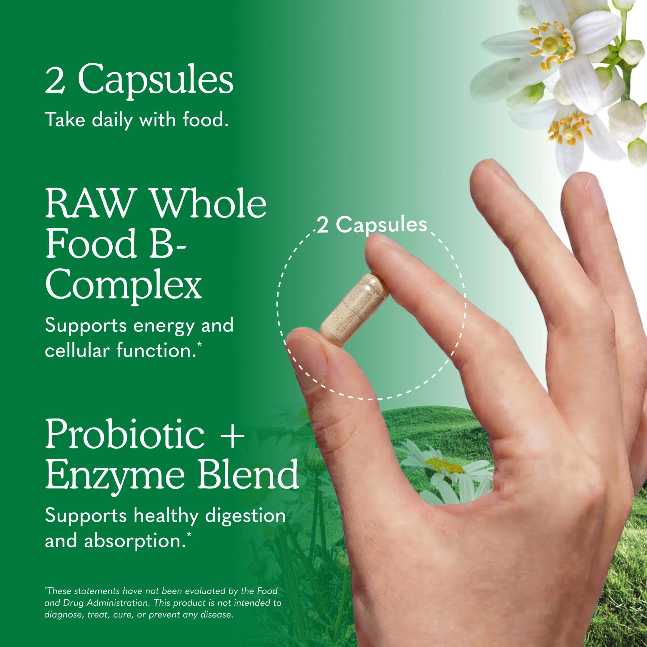 Garden of Life, Vitamin Code Raw B-Complex, 120 Vegan Capsules