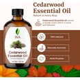 thumbnail image 4 of SVA Cedarwood Essential Oil – 4 Fl Oz – 100% Natural Cedar Cupressus Funebris Oil - for Diffuser, Hair Care, Face, Skin Care, Aromatherapy, Scalp and Body Massage, Soap and Candles - with Dropper, 4 of 5