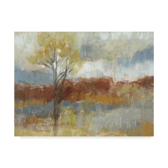 Trademark Fine Art 'Sienna Field I' Canvas Art by Jennifer Goldberger