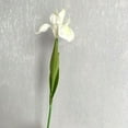thumbnail image 1 of Artificial Iris Flowers Fake Silk Plant Home Wedding Decor Artificial Flower, 1 of 4