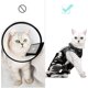 thumbnail image 3 of Traje de recuperación profesional para heridas abdominales o enfermedades de la piel, después de la cirugía, traje de pijama, alternativa con cuello en E para gatos (S, camuflaje) JAMW Sencillez, 3 of 4