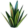 thumbnail image 2 of Hojas de Agave Bearachild 9 piezas Decoración del hogar, 2 of 6