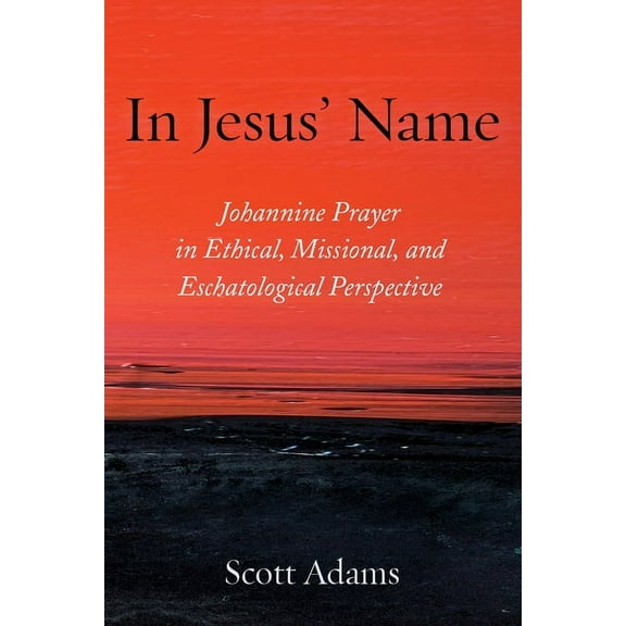 In Jesus' Name (Paperback)
