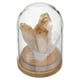 thumbnail image 2 of Racimo de flores de diente de cristal, árbol de cristal, cúpula de vidrio, base de madera, piedras de cristal de la suerte para meditación, yoga, atracción, decoración del hogar y la oficina, 2 of 7