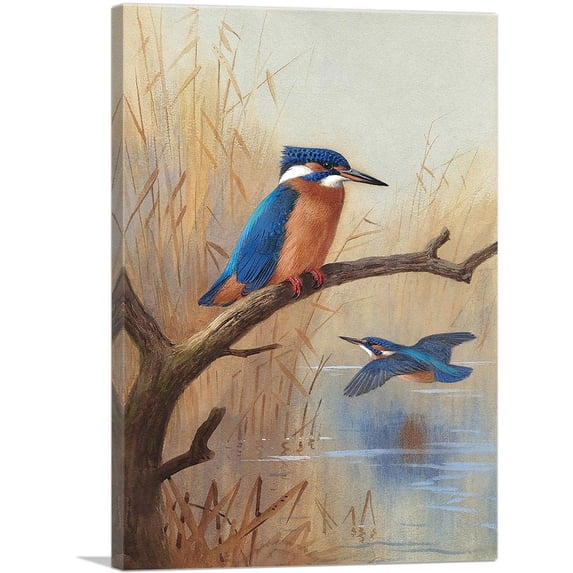 ARTCANVAS A Pair Of Kingfishers 1914 Canvas Art Print by Archibald Thorburn - Size: 18" x 12" (0.75" Deep)