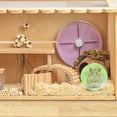 thumbnail image 5 of IUAMXWU Hamster Running Ball Toy - Green 10x10cm Transparent Plastic for Small Pets, 5 of 6