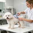 thumbnail image 2 of Self‑Cleaning Slicker Pet Grooming Brush Ergonomic Handle Deshedding Tool For Dogs Cats Removes Loose Fur Mats Tangles(Blue-12.3x17.2cm), 2 of 4